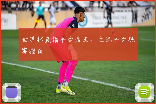 世界杯直播平台盘点，主流平台观赛指南