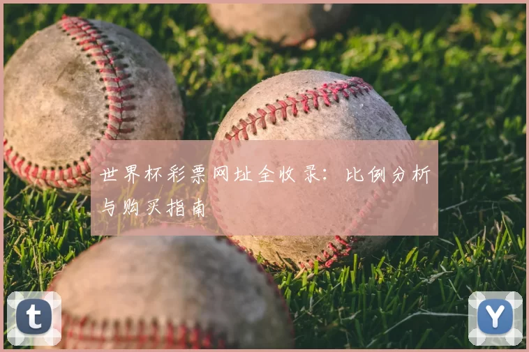世界杯彩票网址全收录：比例分析与购买指南