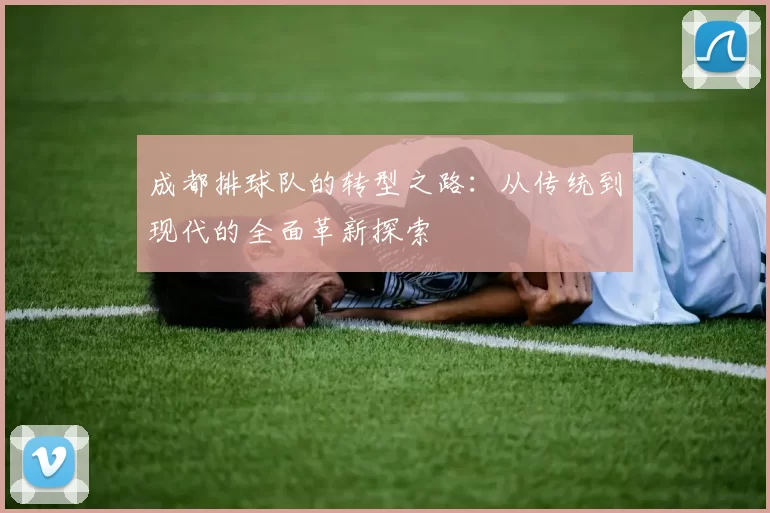 成都排球队的转型之路：从传统到现代的全面革新探索