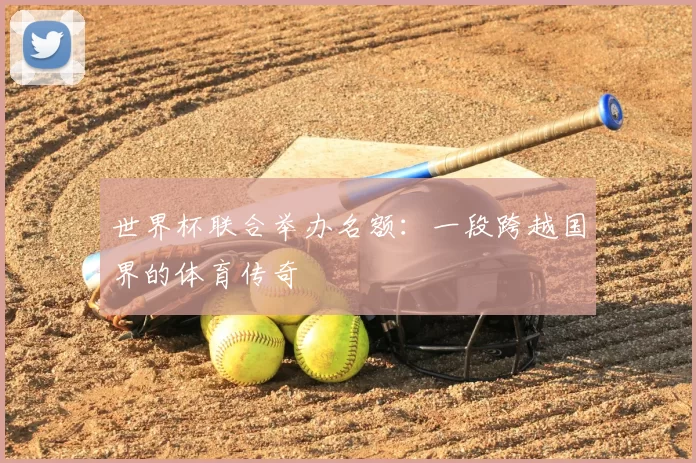 世界杯联合举办名额：一段跨越国界的体育传奇