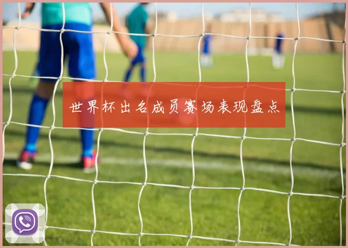 世界杯出名成员赛场表现盘点