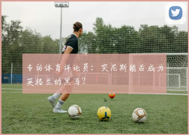 专访体育评论员：突尼斯能否成为英格兰的黑马？