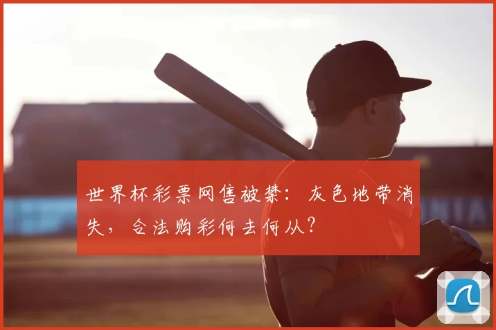 世界杯彩票网售被禁：灰色地带消失，合法购彩何去何从？