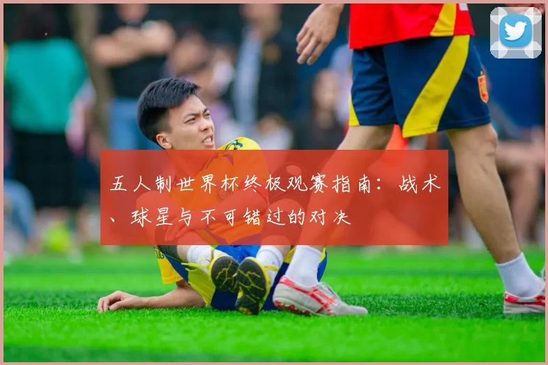 五人制世界杯终极观赛指南：战术、球星与不可错过的对决