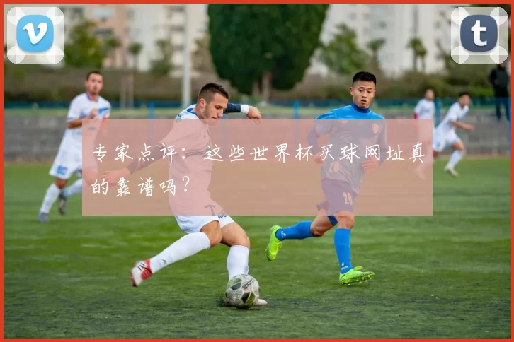 专家点评：这些世界杯买球网址真的靠谱吗？
