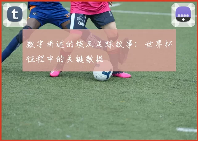 数字讲述的埃及足球故事：世界杯征程中的关键数据
