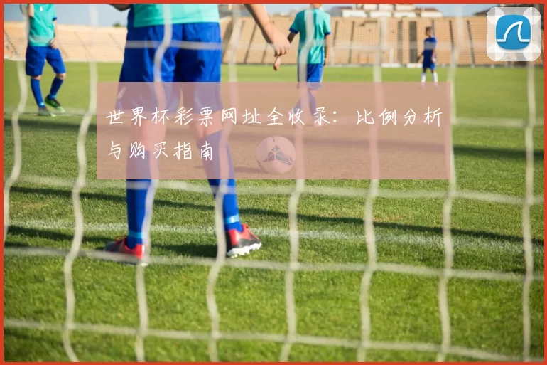 世界杯彩票网址全收录：比例分析与购买指南