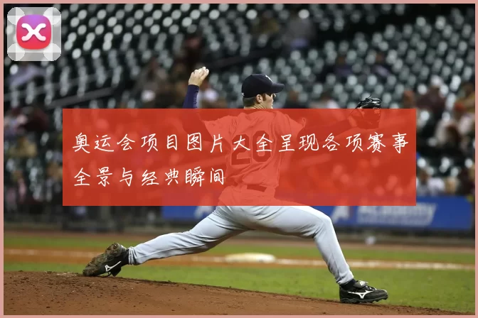 奥运会项目图片大全呈现各项赛事全景与经典瞬间