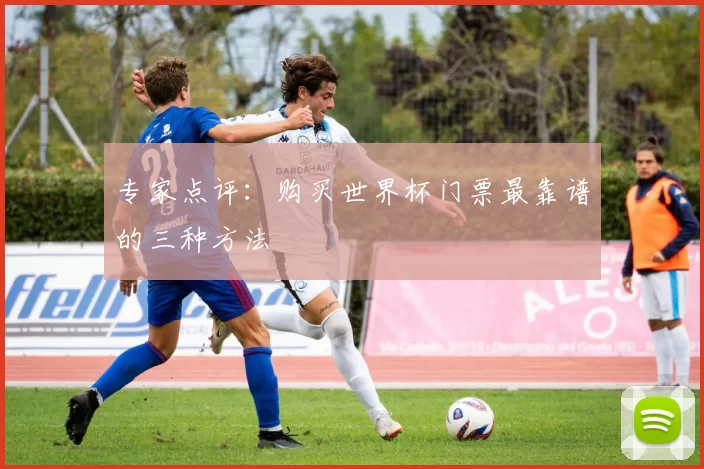专家点评：购买世界杯门票最靠谱的三种方法