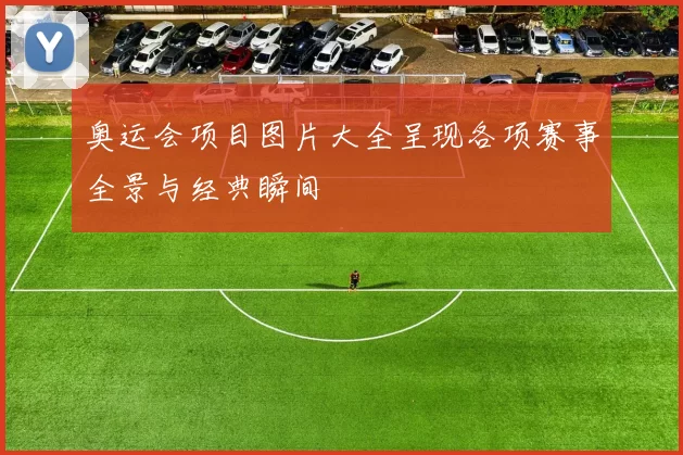 奥运会项目图片大全呈现各项赛事全景与经典瞬间