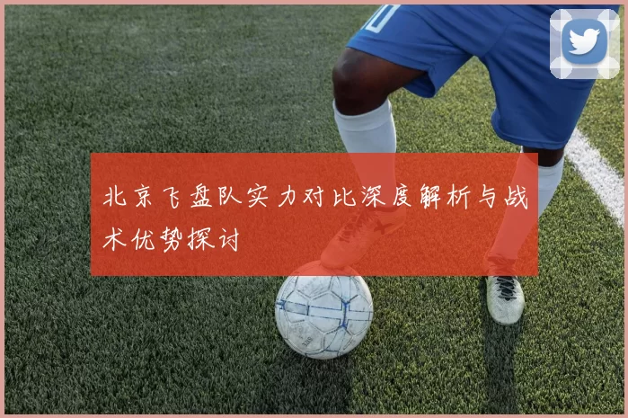 北京飞盘队实力对比深度解析与战术优势探讨