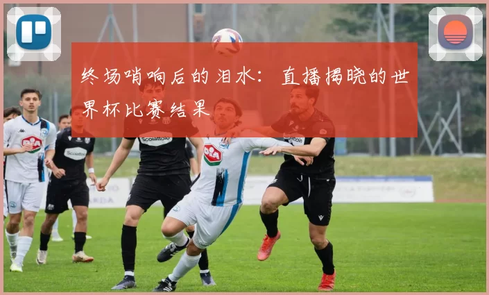 终场哨响后的泪水：直播揭晓的世界杯比赛结果