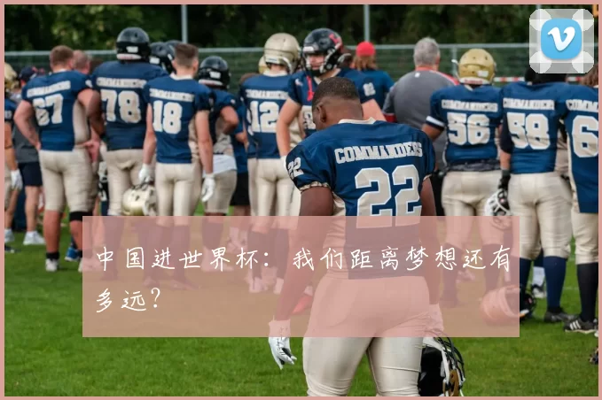 中国进世界杯：我们距离梦想还有多远？